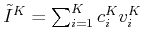 $ \tilde {I}^K= \sum_{i=1}^K c_i^K v_i^K$